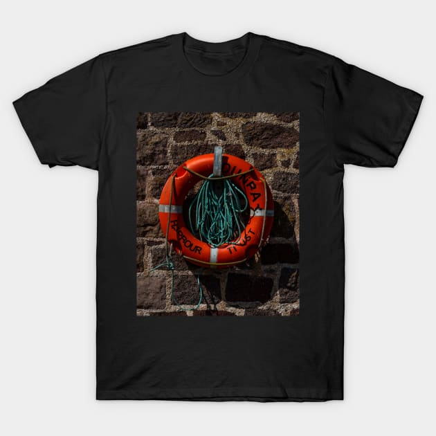 Dunbar Lifebuoy T-Shirt by axp7884